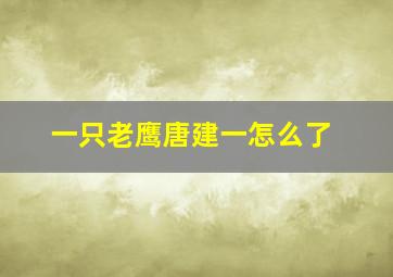 一只老鹰唐建一怎么了