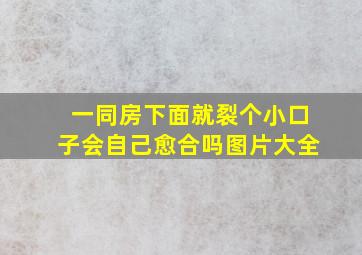 一同房下面就裂个小口子会自己愈合吗图片大全