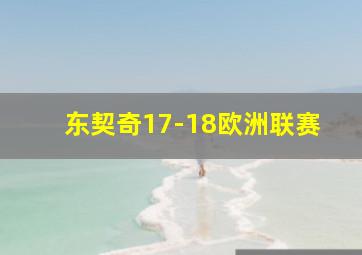 东契奇17-18欧洲联赛