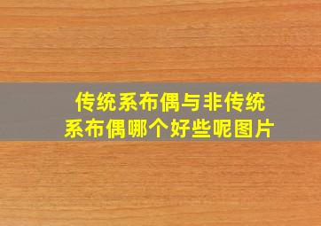 传统系布偶与非传统系布偶哪个好些呢图片