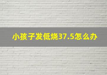 小孩子发低烧37.5怎么办