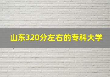 山东320分左右的专科大学