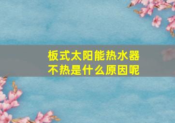 板式太阳能热水器不热是什么原因呢