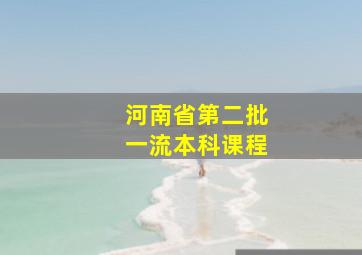 河南省第二批一流本科课程