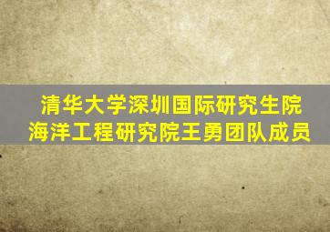 清华大学深圳国际研究生院海洋工程研究院王勇团队成员