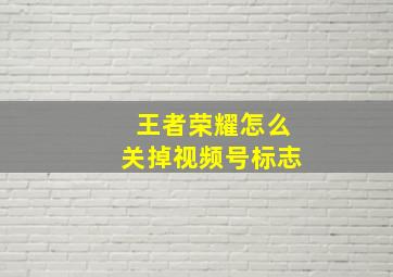 王者荣耀怎么关掉视频号标志