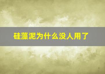 硅藻泥为什么没人用了