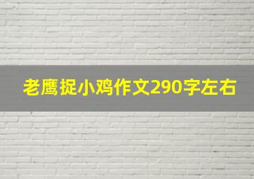 老鹰捉小鸡作文290字左右