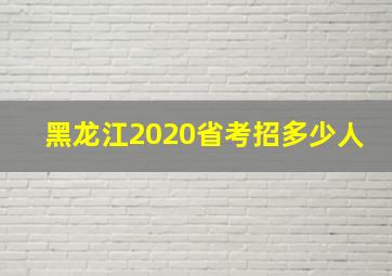 黑龙江2020省考招多少人